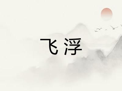 飞浮 飞浮