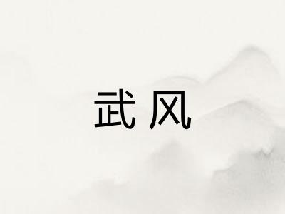 武风