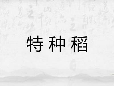 特种稻 特种稻