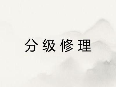 分级修理