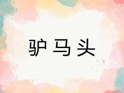 驴马头 驴马头