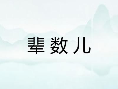 辈数儿