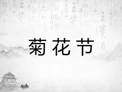 菊花节