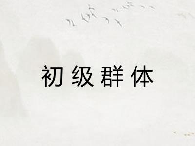 初级群体