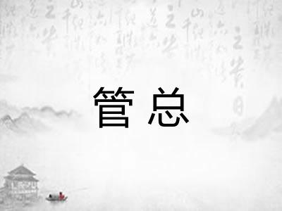管总