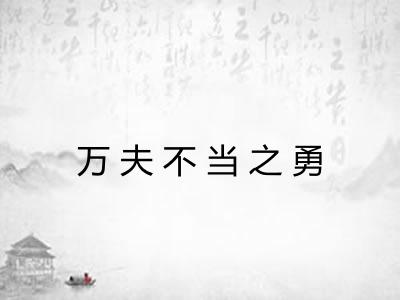 万夫不当之勇