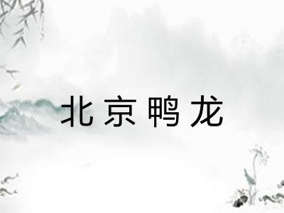 北京鸭龙
