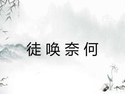 徒唤奈何 徒唤奈何
