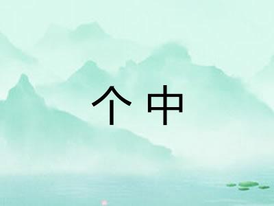 个中