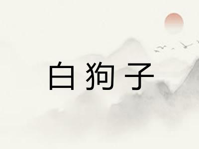 白狗子