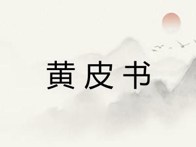 黄皮书