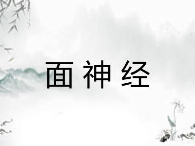 面神经 面神经