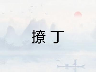 撩丁