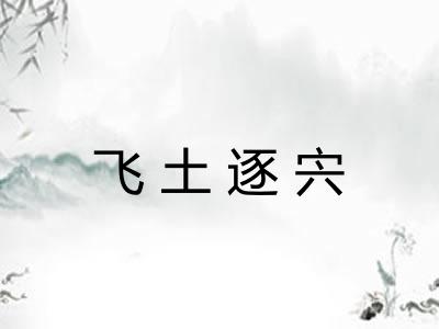 飞土逐宍