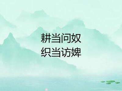 耕当问奴织当访婢
