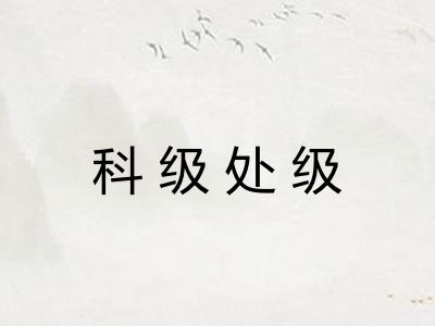 科级处级 科级处级