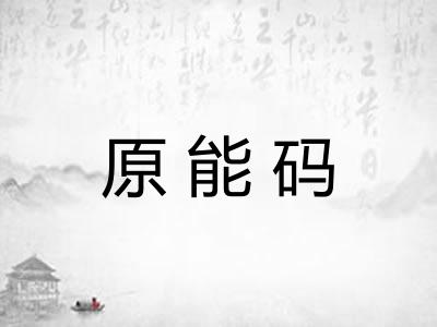 原能码
