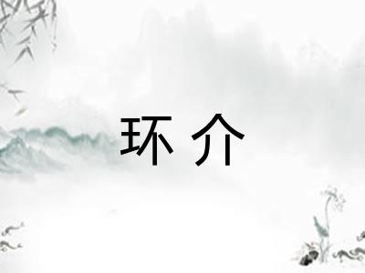 环介 环介