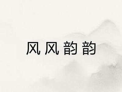 风风韵韵