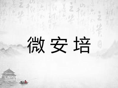 微安培