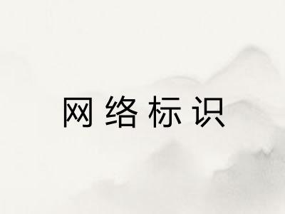 网络标识