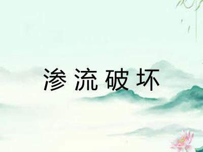 渗流破坏 渗流破坏