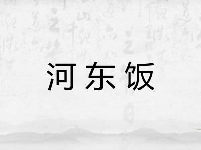河东饭 河东饭