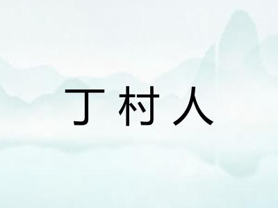 丁村人