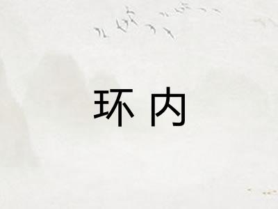 环内
