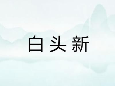白头新
