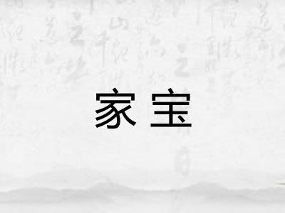 家宝