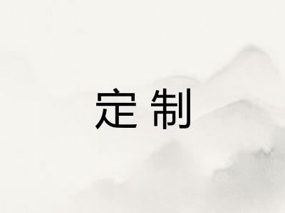 定制 定制