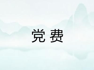 党费