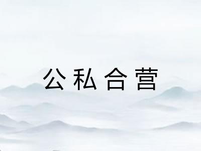 公私合营