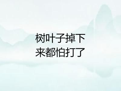 树叶子掉下来都怕打了头