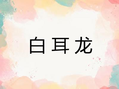 白耳龙