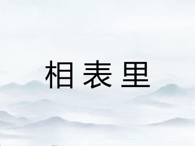 相表里 相表里