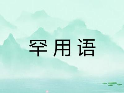 罕用语