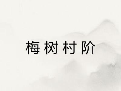 梅树村阶