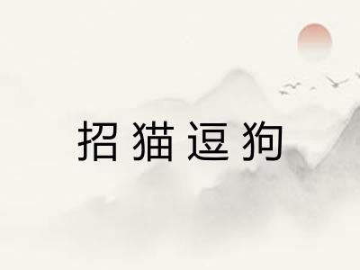 招猫逗狗