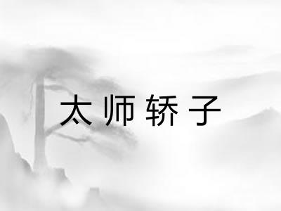 太师轿子 太师轿子