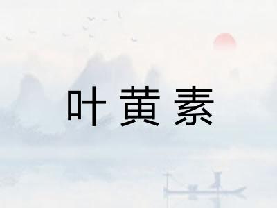 叶黄素 叶黄素