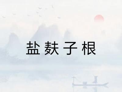 盐麸子根 盐麸子根