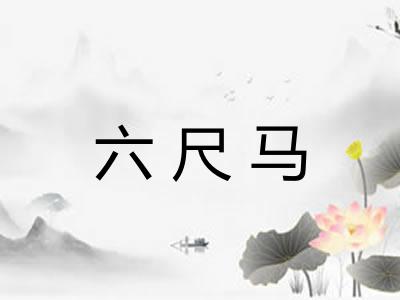六尺马 六尺马