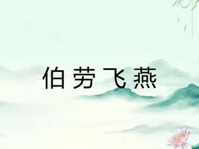 伯劳飞燕 伯劳飞燕