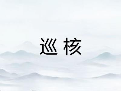 巡核