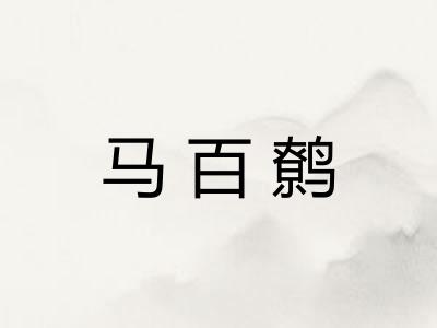 马百鹩