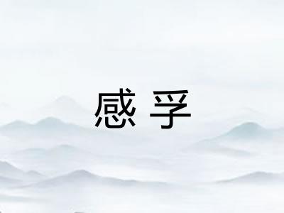 感孚