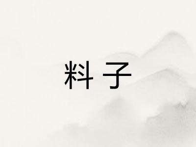 料子 料子