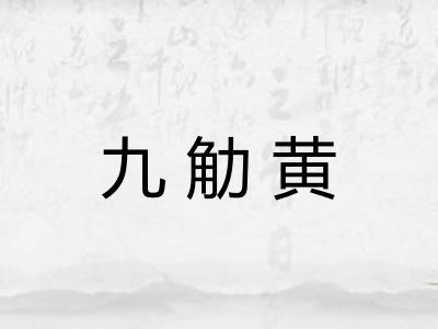 九觔黄 九觔黄